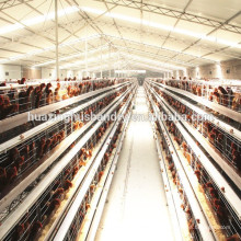 Équipement agricole de poulet / cages de batterie de poules pondeuses / système de boisson à cage d&#39;animaux